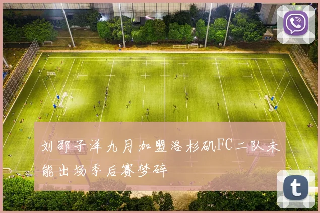 刘邵子洋九月加盟洛杉矶FC二队未能出场季后赛梦碎