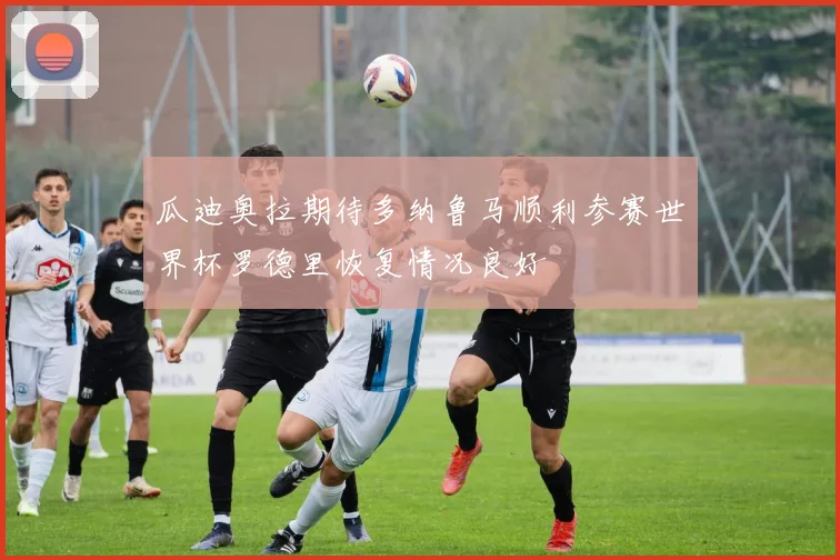 瓜迪奥拉期待多纳鲁马顺利参赛世界杯罗德里恢复情况良好