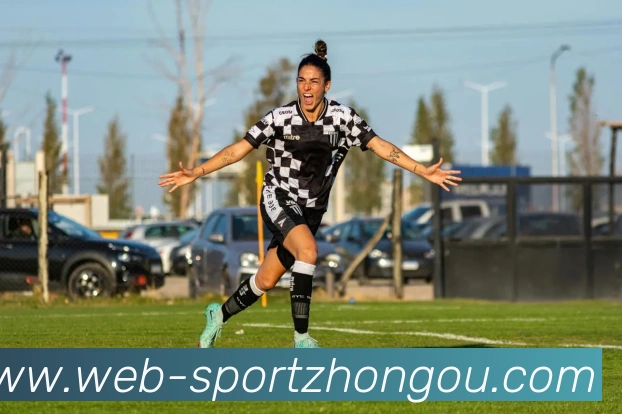 中欧体育平台生态图